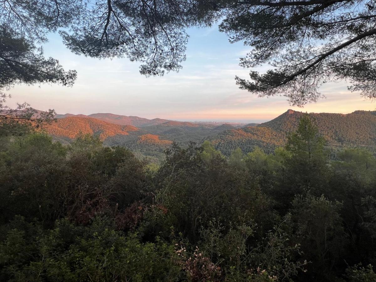 Villa Soanne Bagnols-en-Forêt Dış mekan fotoğraf
